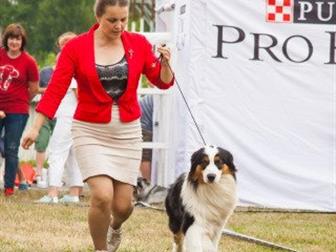   -   ( ) ,  , ,      , ,  