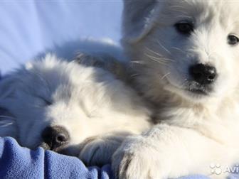     - ,      ,  ,   23  2019,         