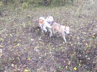   ,   ,    ,    03, 09, 19  4 ,  