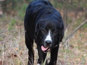   ,   52  ,  7 ,  , , ,   ,   00 ,    ,  ,  