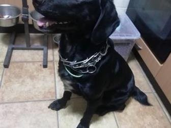  2,5  ,   !    ,   (),      !!!  