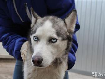     ,   1,5 , ,  , -,      ,     ! ,  