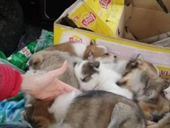 10      ,         ,       !!  