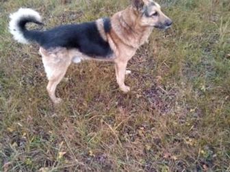 ,       ,    ,  ϸ -    ,    ,       