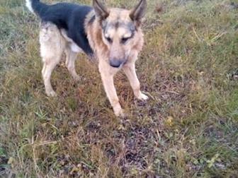 ,       ,    ,  ϸ -    ,    ,       