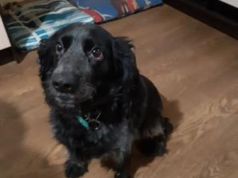  ,     ,  ,   3 ,  , ,   ,   ,   ,     