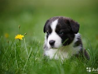  ,      3, 5 ,  ,   ,    ,  , ,   