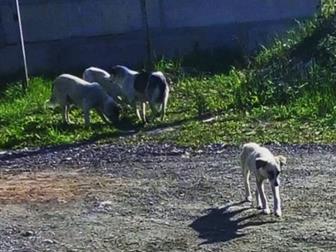 10 ,  ,   ,    ,      ,       