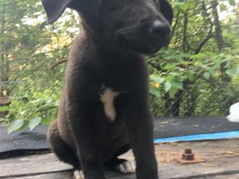      3-4 ,  ,  , ,  ,       ,       