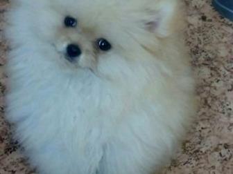    ,    ,  , ,  2 ,    20 ,  ,  ,   