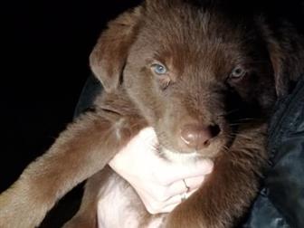  -   ,   2 ,   ,    ,     