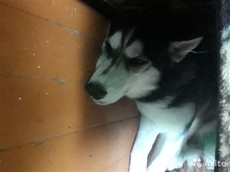  ,9 ,   -   ,       2000  