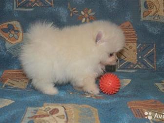         ,   4, 10, 2019, ,   ,   ,     ,  