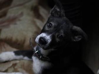         !   ,   ,     -    ,    , ,  