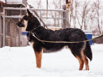 , 1,2 , , ,           (      ),  ,  