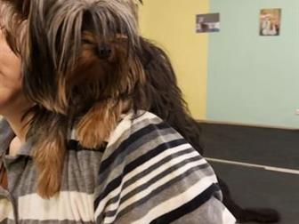    !!! ,, ,,   !!!   1, 9,    , ,   ,  