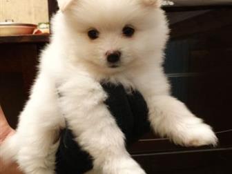      ,   27  2019 ,  5   1 ,   - ,   ,    ,  