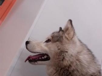 : , 3   ,          3,         