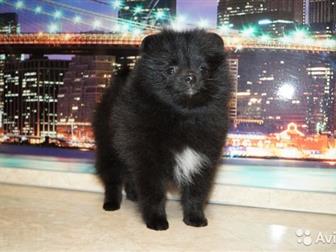         ,    ,         ???? , ,  