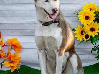    !!!,    ,   ,  , ,   ,        -  