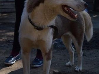    !!!,    ,   ,  , ,   ,        -  