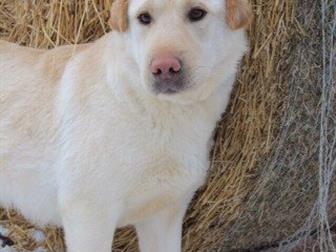   ,  ,    ,    ,      ,  , ,  ,    