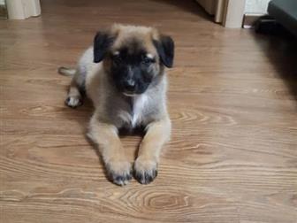      2-3 ,       ,     1 ,   ,  