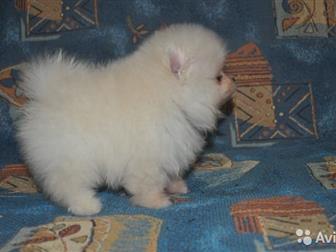         (   )     ,   4, 10, 2019, ,   ,   