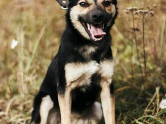 , , ,     ,   ,   , ,      ,           