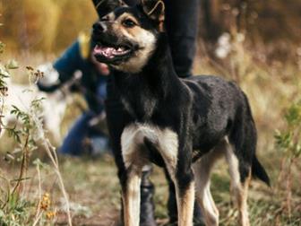 , , ,     ,   ,   , ,      ,           