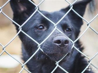    ))      )      ,   2   6 , , , ,  