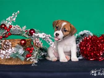        1, 5 ;   100%       10 , ,  ,    