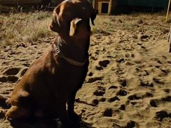   ,  10, 12, 19    ,   ,        ,     ,  3  4  ,    