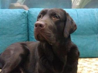   ,  10, 12, 19    ,   ,        ,     ,  3  4  ,    