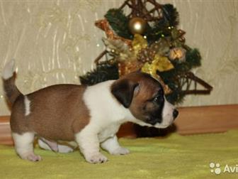        ,      ,   ,     5 ,   