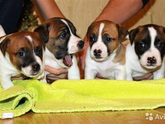        ,      ,   ,     5 ,   