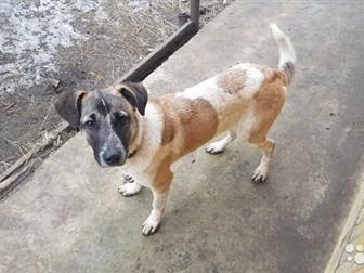  -    9 ,  ,    ,    ,   