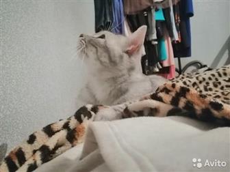    ,    ,      -   ,  , ,  ,  ,    ,  ,   