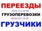   ,       , 8928-121-49-80, 8918- 525-75-00, 33955759  --