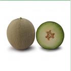 ������ ���� KS 7044 F1 ����� ������