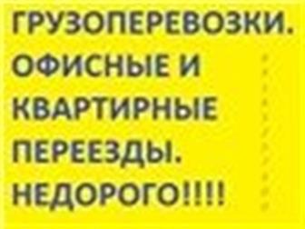  foto ,    , ,    , 34297154  --