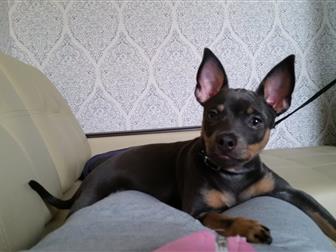 ����� � ��������  �������� � �������-��-����