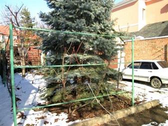 ����� ����������� ������ ����� ���� ��� ��, p-�, ��, �����������, ��, ����������������� 34542989 � �������-��-����