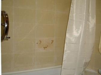 ������� ����������� ������ ����� C�a� 2-��, �e��p, ��, �o���a� Ca�o�a�, �p-�� �opo���o�c��� 34595076 � �������-��-����