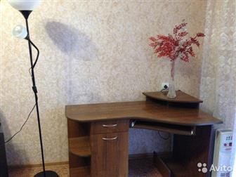 ����������� ����  ������� �������, ���� ��������, ������ �� ����� ���������, 35282846 � �������-��-����