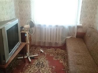     59, ,    ,  ,     (  ),   ,   ,  --