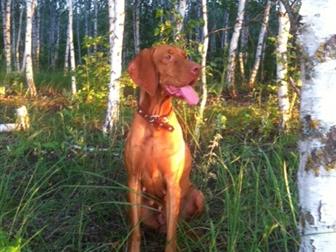 ���������� ����� ���� � �������-��-����