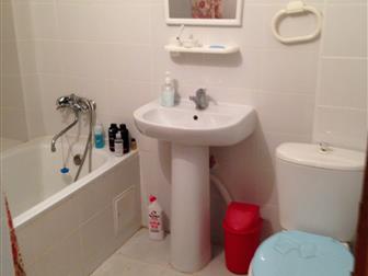 ����������� ���� ������ ����� ����������, �����, ������ �� ����� ���������, 36793287 � �������-��-����