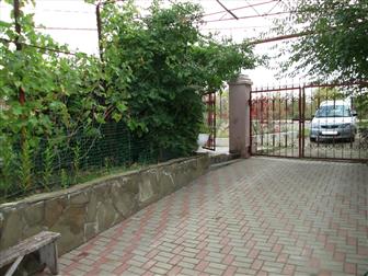 �������� ���������� ������ ����� ���� ��� ���, ����������, ��, ������, ��, ���������, �-� 88 ����� 37280233 � �������-��-����