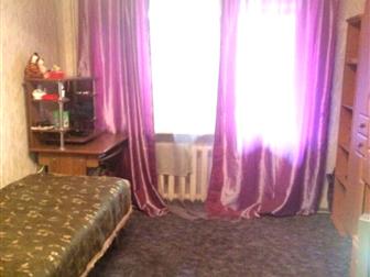 ����������� ���� ������ ����� C�a� 1-��, �e��p, ��, Ma�c��a �op��o�o, �ep, ����epc��e�c��� 37799006 � �������-��-����